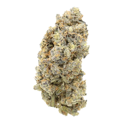 Close-up front view of a single dense bud of Platinum Pop Rocks showing frosty trichomes and orange pistils against a white background