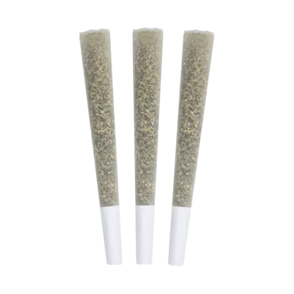 Three pre-rolled cones shown upright in a row against a white background, labeled Platinum Rainbow's PR 3 x 0.5 g.