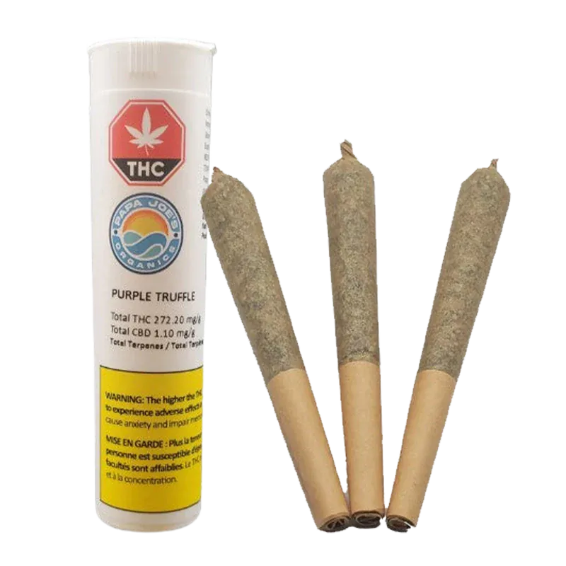 White background studio shot of a tall tube and three rolled joints, labeled "Purple Truffle PR 3 x 0.5 g" beside the tube.