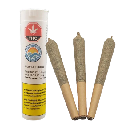 White background studio shot of a tall tube and three rolled joints, labeled "Purple Truffle PR 3 x 0.5 g" beside the tube.