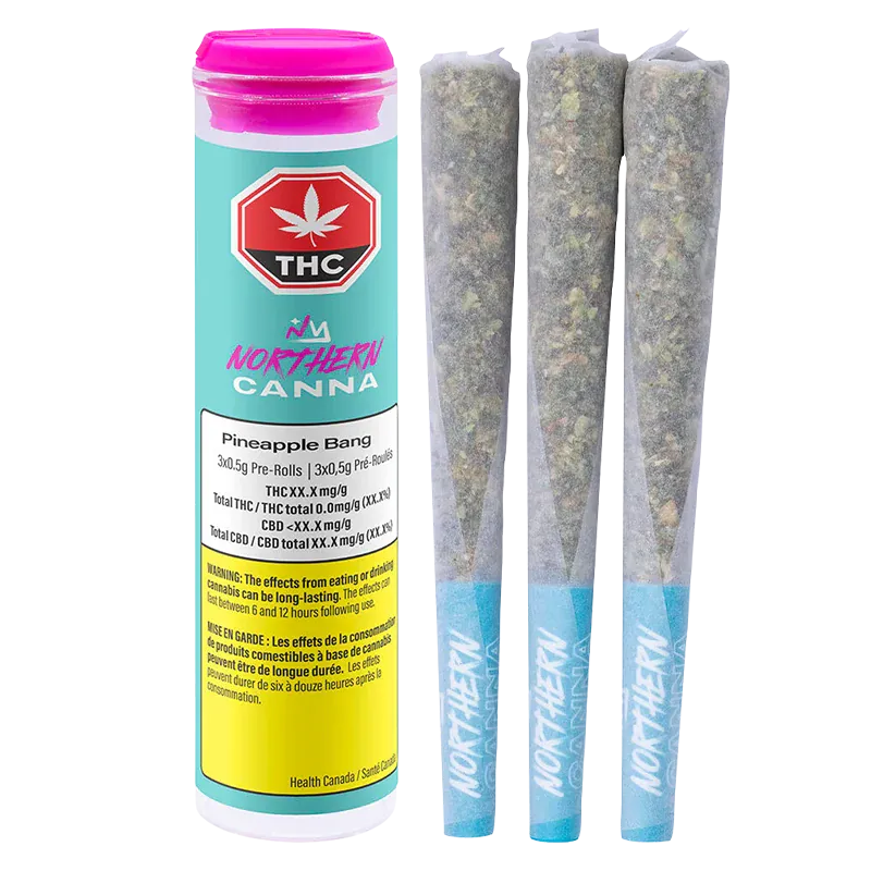 Three-quarter view of a turquoise and pink Northern Canna Pineapple Bang PR 5 x 0.5 g tube standing beside three pre-rolled cones with matching blue branded filters.