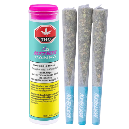 Three-quarter view of a turquoise and pink Northern Canna Pineapple Bang PR 5 x 0.5 g tube standing beside three pre-rolled cones with matching blue branded filters.