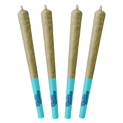 Four upright Arctic Ice PR 4 x 0.5 g pre-rolls with teal tips displayed against a white background.