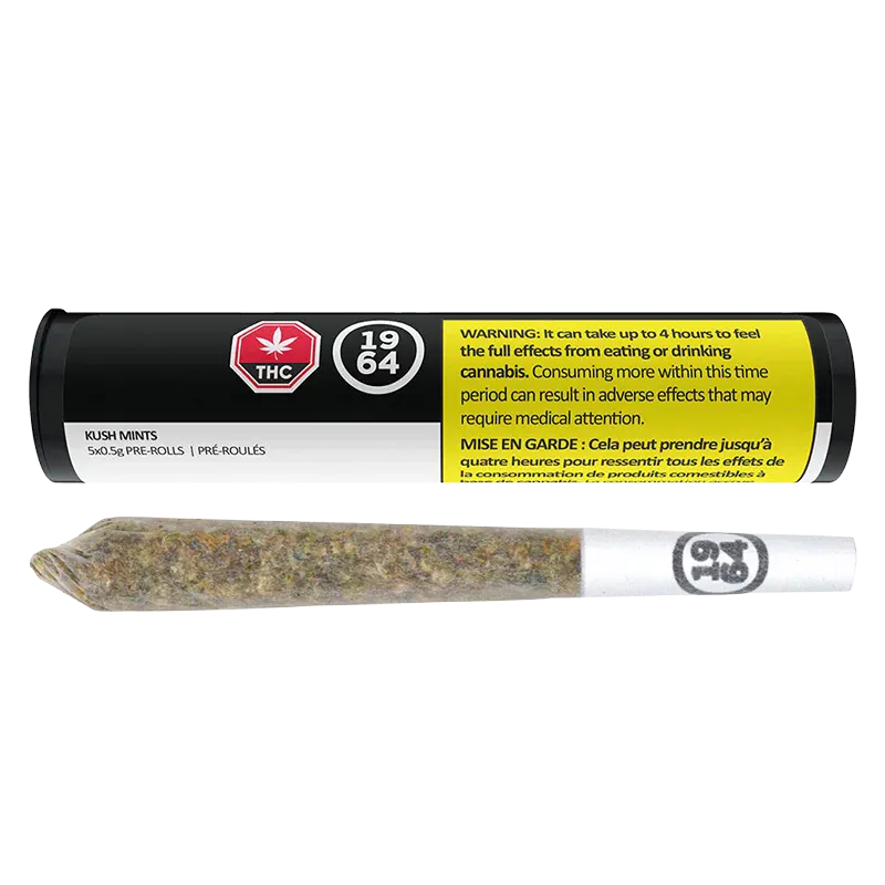 Horizontal product shot of a single pre-roll and its black tube packaging labeled Kush Mints PR 5 x 0.5 g, shown on a white background.