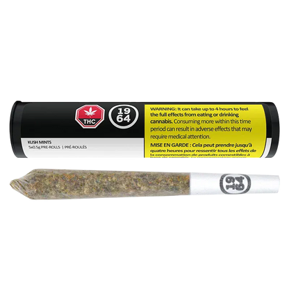 Horizontal product shot of a single pre-roll and its black tube packaging labeled Kush Mints PR 5 x 0.5 g, shown on a white background.