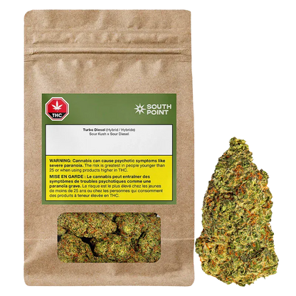 Front-facing kraft pouch with a green South Point Turbo Diesel label and a window showing dense green buds alongside a single close-up bud.