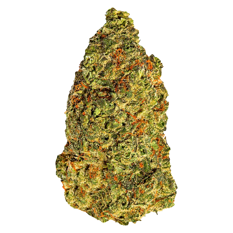 Close-up of a single Turbo Diesel cannabis bud photographed straight-on against a white background, showing green leaves and orange pistils.