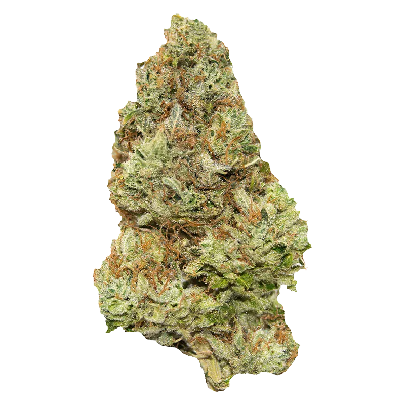 Close-up of a frosty conical cannabis bud showing green and orange hairs, labeled Golden Tangie.
