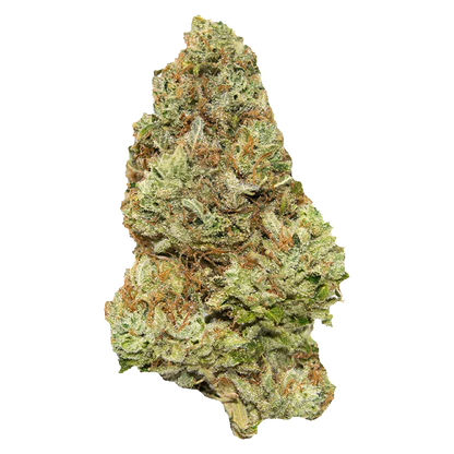 Close-up of a frosty conical cannabis bud showing green and orange hairs, labeled Golden Tangie.