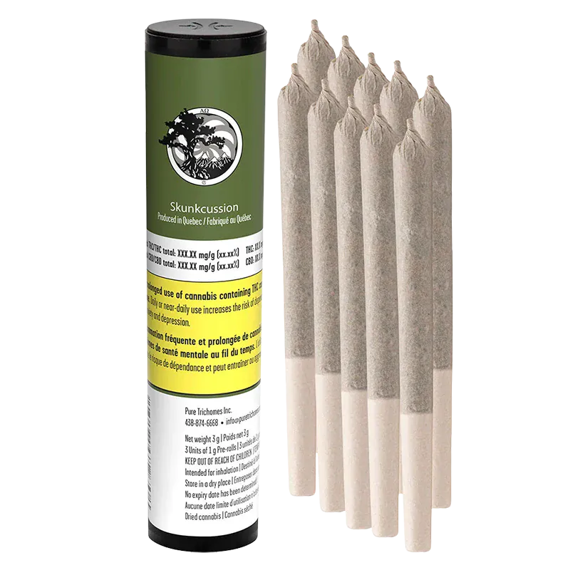 Right-front view of a green-labeled Skunkcussion PR 3 x 1 g tube standing next to seven pre-rolled joints on a white background