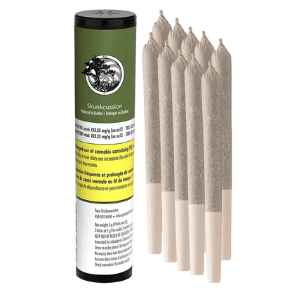 Right-front view of a green-labeled Skunkcussion PR 3 x 1 g tube standing next to seven pre-rolled joints on a white background