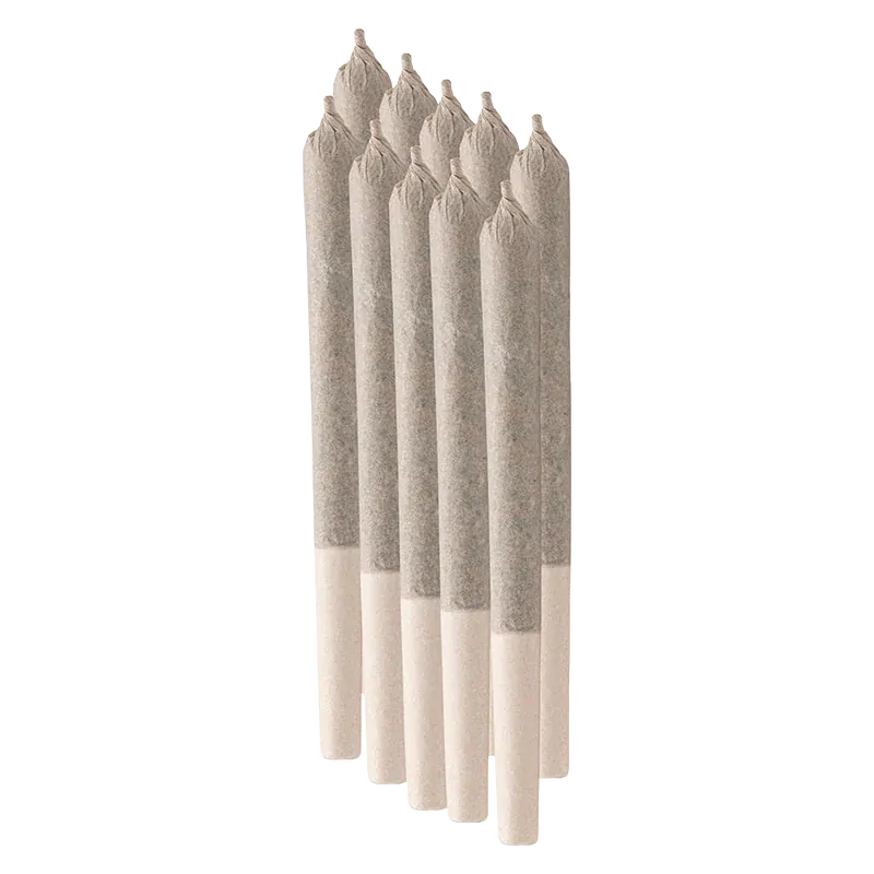 Angled front view of seven beige pre-rolled cones arranged in a staggered row, Skunkcussion PR 3 x 1 g.