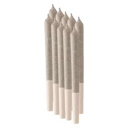 Angled front view of seven beige pre-rolled cones arranged in a staggered row, Skunkcussion PR 3 x 1 g.