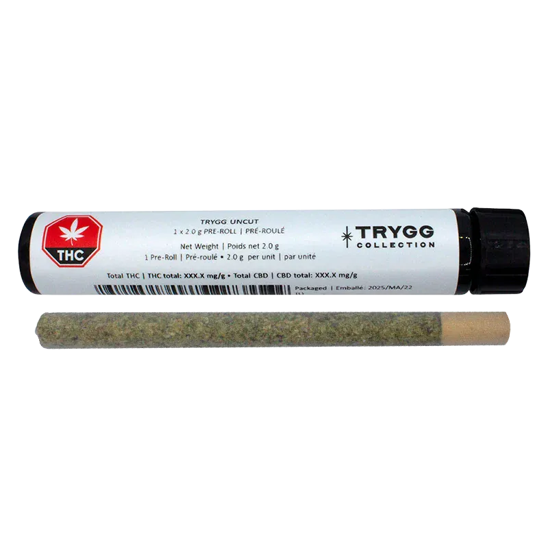 Horizontal studio shot of a single Uncut PR 1 x 2 g pre-roll with its white TRYGG Collection tube above, both centered on a white background.