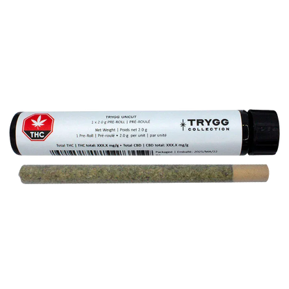 Horizontal studio shot of a single Uncut PR 1 x 2 g pre-roll with its white TRYGG Collection tube above, both centered on a white background.