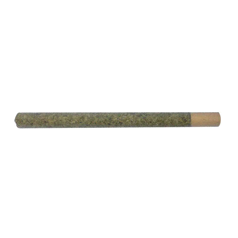 Horizontal close-up of an Uncut PR 1 x 2 g pre-roll showing its green herb-filled body and tan paper tip against a white background