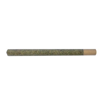 Horizontal close-up of an Uncut PR 1 x 2 g pre-roll showing its green herb-filled body and tan paper tip against a white background