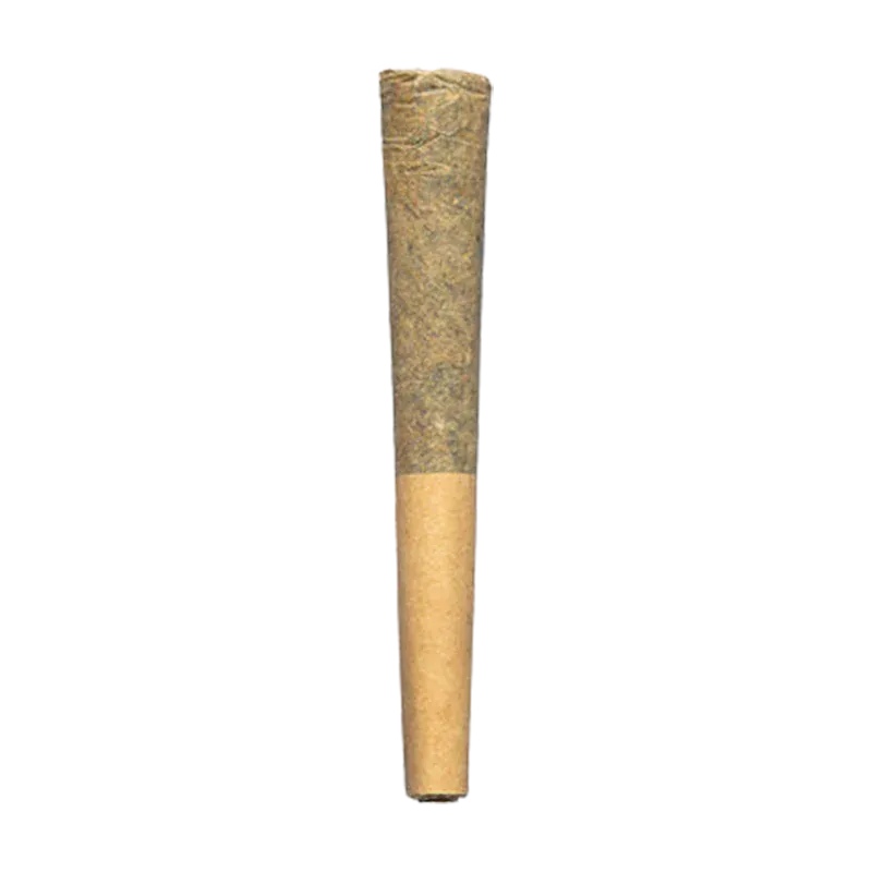 Centered vertical close-up of a rolled cigarette against a white background showing its packed green-brown tip and tan paper filter, Devil's Lettuce PR 1 x 0.5 g