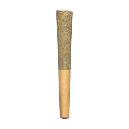 Centered vertical close-up of a rolled cigarette against a white background showing its packed green-brown tip and tan paper filter, Devil's Lettuce PR 1 x 0.5 g