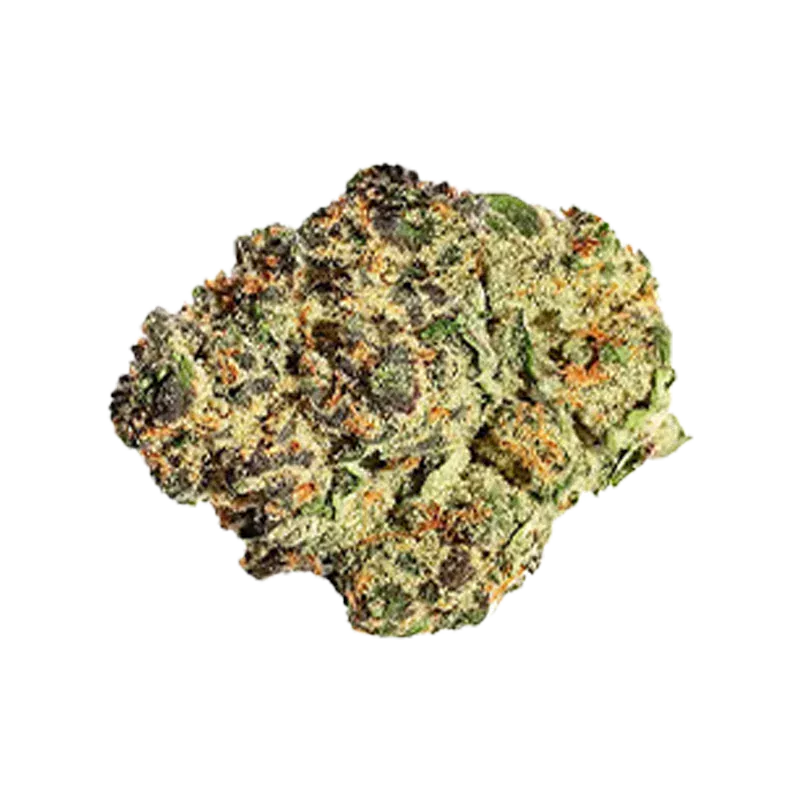 Top-down view of a single Black Cherry Pie bud showing green, purple, and orange trichome-dusted nugs against a white background.