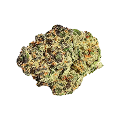 Top-down view of a single Black Cherry Pie bud showing green, purple, and orange trichome-dusted nugs against a white background.