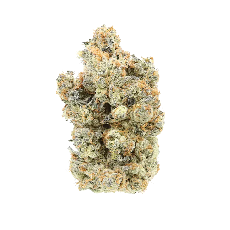 Top-down close-up of a frosty cannabis bud labeled "TKO" showing dense green nugs with orange hairs and white trichomes on a white background.