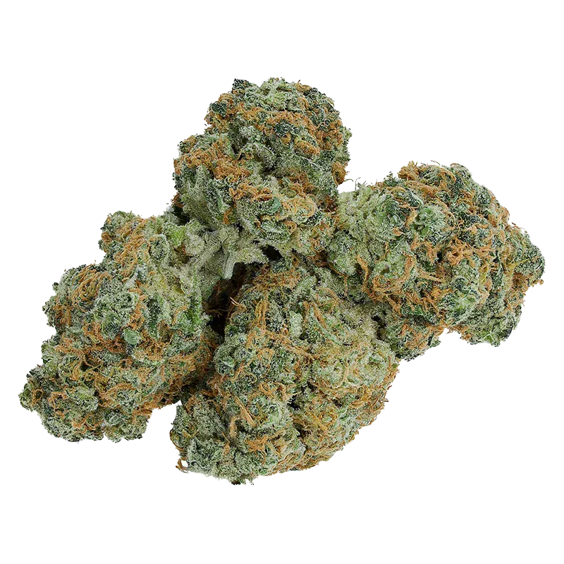 Close-up top-down view of a cluster of Charged buds showing frosty green nugs with dense orange hairs against a white background.