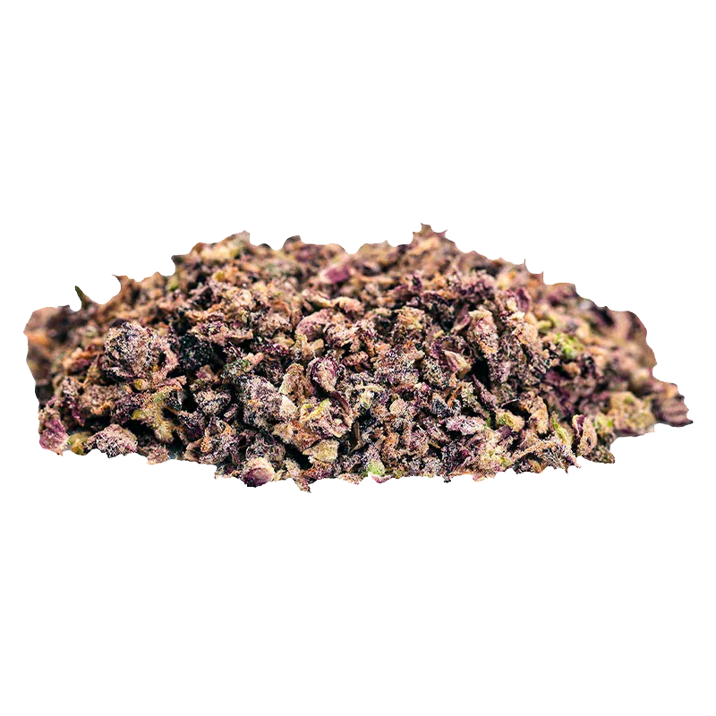 Close-up of a low mound of purple-speckled "Chef's Kiss" flower buds photographed against a white background.