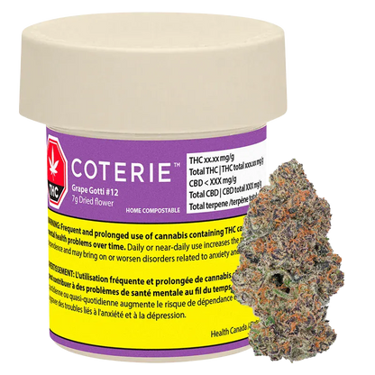 Front-facing shot of a purple-labeled Coterie Grape Gotti #12 7g container with a beige lid and a close-up nugget shown to its right