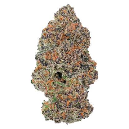 Close-up front view of a dense, frosty purple and green bud labelled Grape Gotti #12, showing orange hairs and crystalline trichomes.