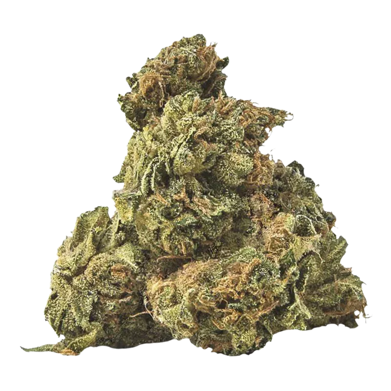 Close-up front view of a dense green and amber bud of Purple Cow Tipper Budski against a white background.