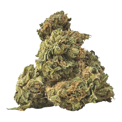 Close-up front view of a dense green and amber bud of Purple Cow Tipper Budski against a white background.