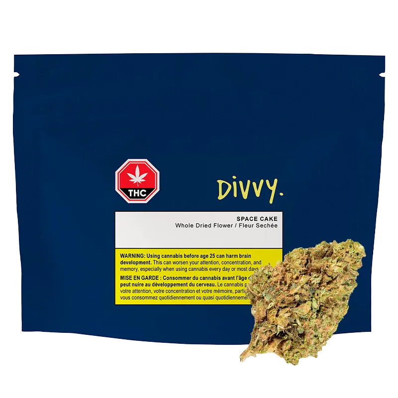 Divvy 28 g Space Cake Flower