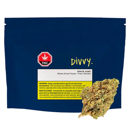 Divvy 28 g Space Cake Flower