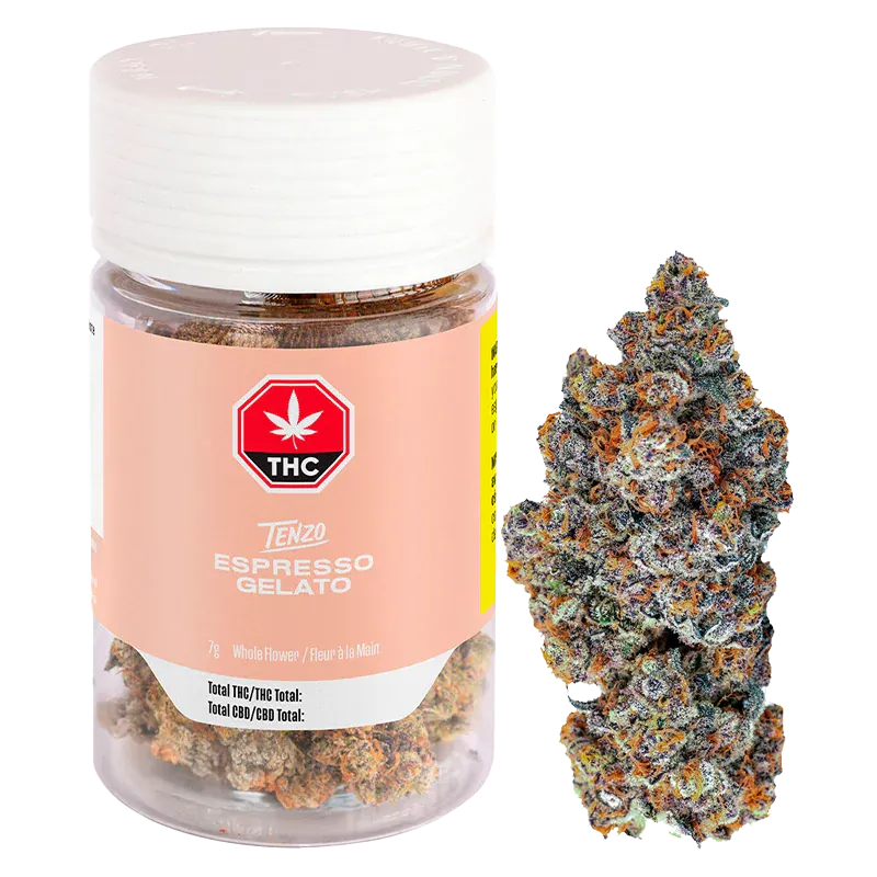 Clear front view of a Tenzo Espresso Gelato jar and a single dense nugget on a white background.