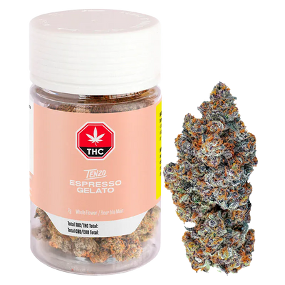 Clear front view of a Tenzo Espresso Gelato jar and a single dense nugget on a white background.