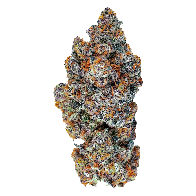 Close-up front view of a frosty, purple-and-orange bud labeled Espresso Gelato against a clean white background.