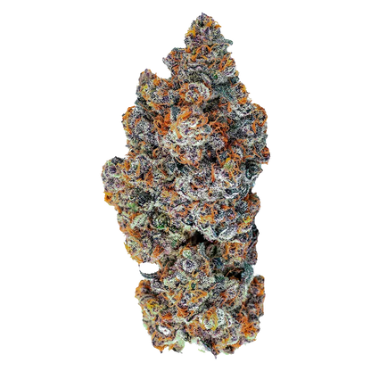 Close-up front view of a frosty, purple-and-orange bud labeled Espresso Gelato against a clean white background.