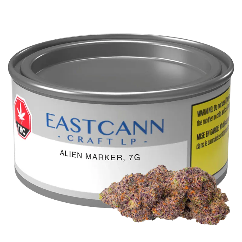 Close-up angled view of a metal tin labeled EASTCANN CRAFT LP Scented Marker, 7g, with a small cluster of purple and orange buds at the base.