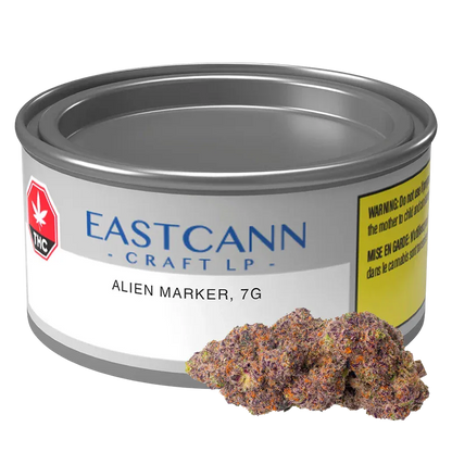 Close-up angled view of a metal tin labeled EASTCANN CRAFT LP Scented Marker, 7g, with a small cluster of purple and orange buds at the base.