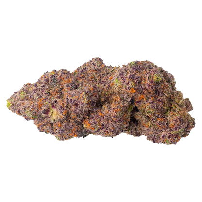 Close-up of a purple and orange nubby flower cluster photographed against a white background, labeled Scented Marker.