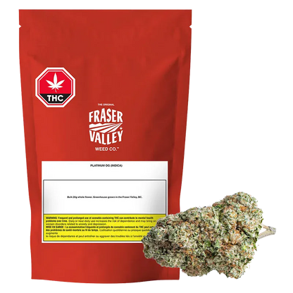 Front view of a red Fraser Valley Platinum OG 28 g pouch standing upright with a bud of cannabis placed at its base.