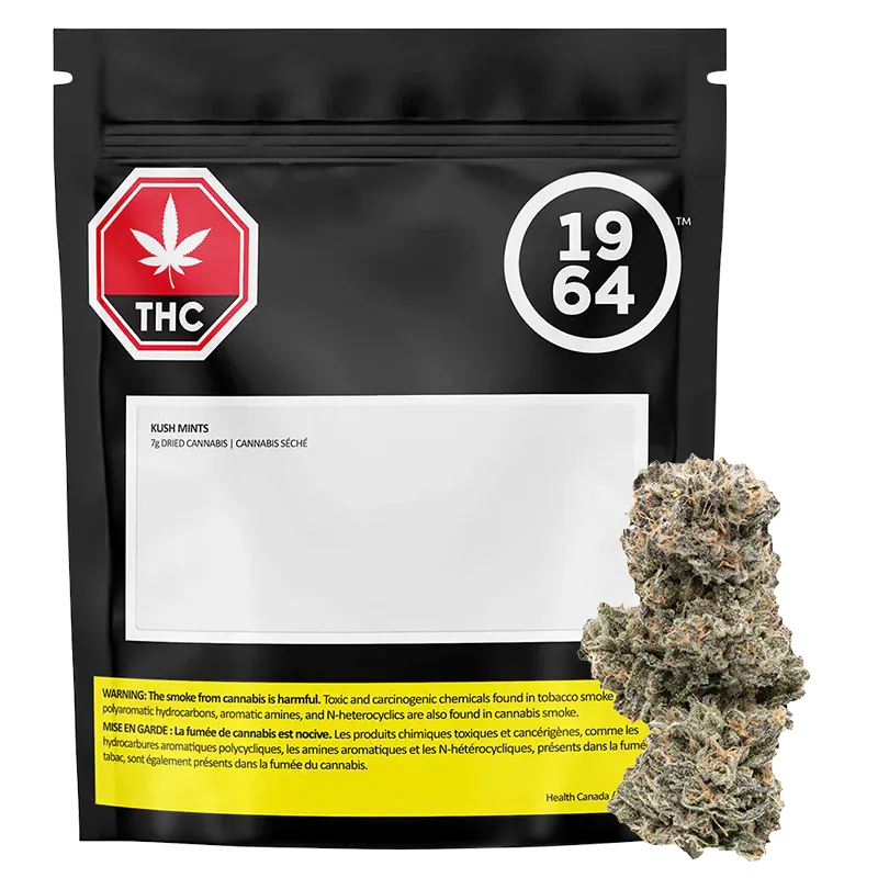 Front-facing black resealable pouch labeled Kush Mints with a bold 1964 logo and a stacked cannabis bud photographed beside it.