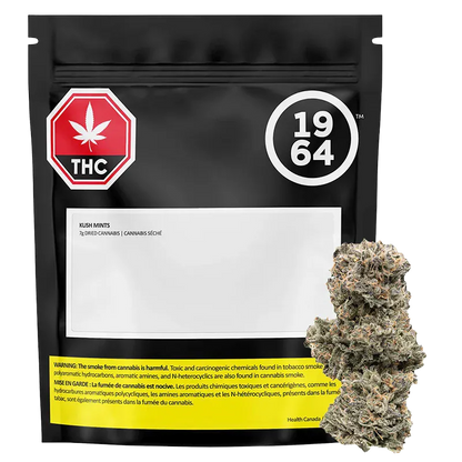 Front-facing black resealable pouch labeled Kush Mints with a bold 1964 logo and a stacked cannabis bud photographed beside it.