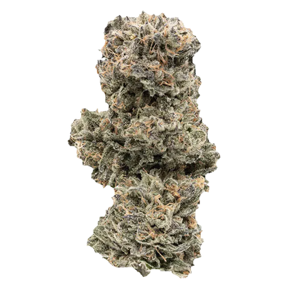 Close-up front view of a single frosty Kush Mints cannabis bud with dense green and orange hairs against a white background