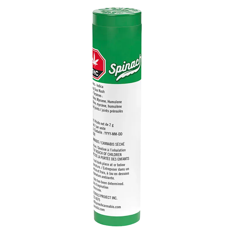 Tall front view of the green-and-white tube labeled GMO Cookies PR 2 x 1 g standing upright against a white background