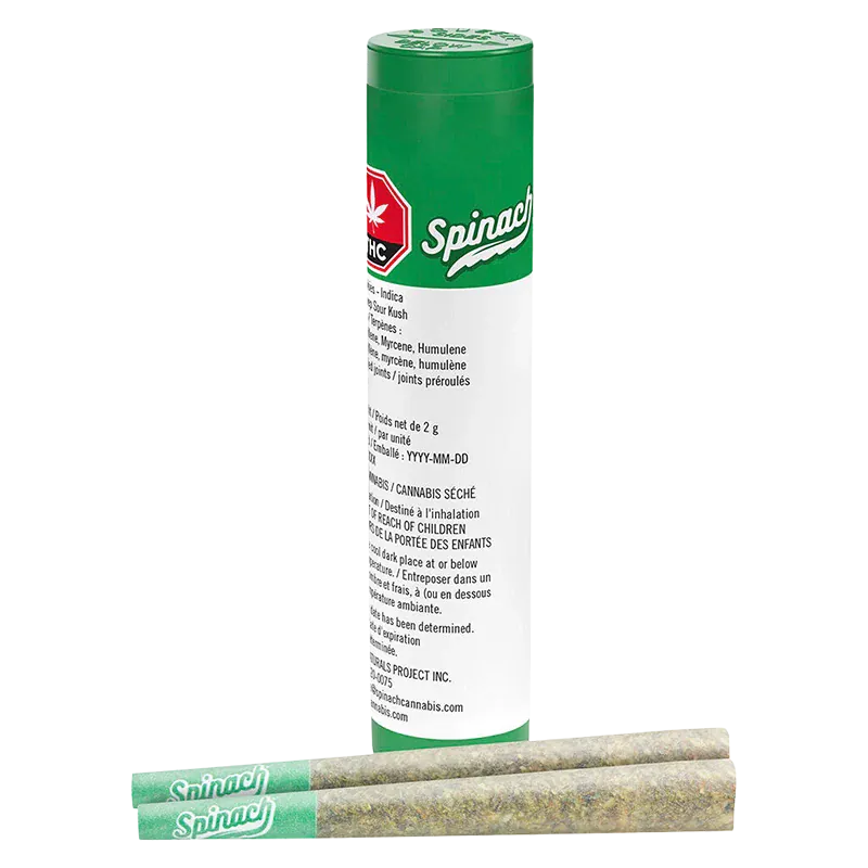 Tall front view of the green-and-white GMO Cookies PR 2 x 1 g tube standing behind two branded pre-rolls labeled "Spinach" on their green tips.