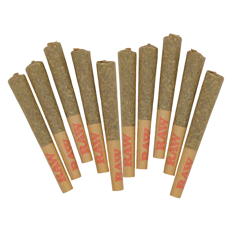 Top-down view of ten pre-rolled cones fanned out on white, showing the Guzzlers PR 10 x 0.5 g paper tips and packed brown rolling paper.