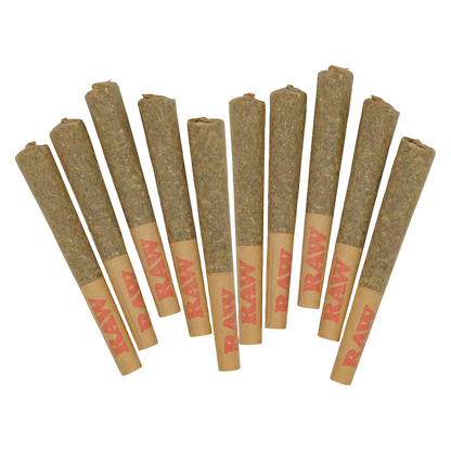 Top-down view of ten pre-rolled cones fanned out on white, showing the Guzzlers PR 10 x 0.5 g paper tips and packed brown rolling paper.