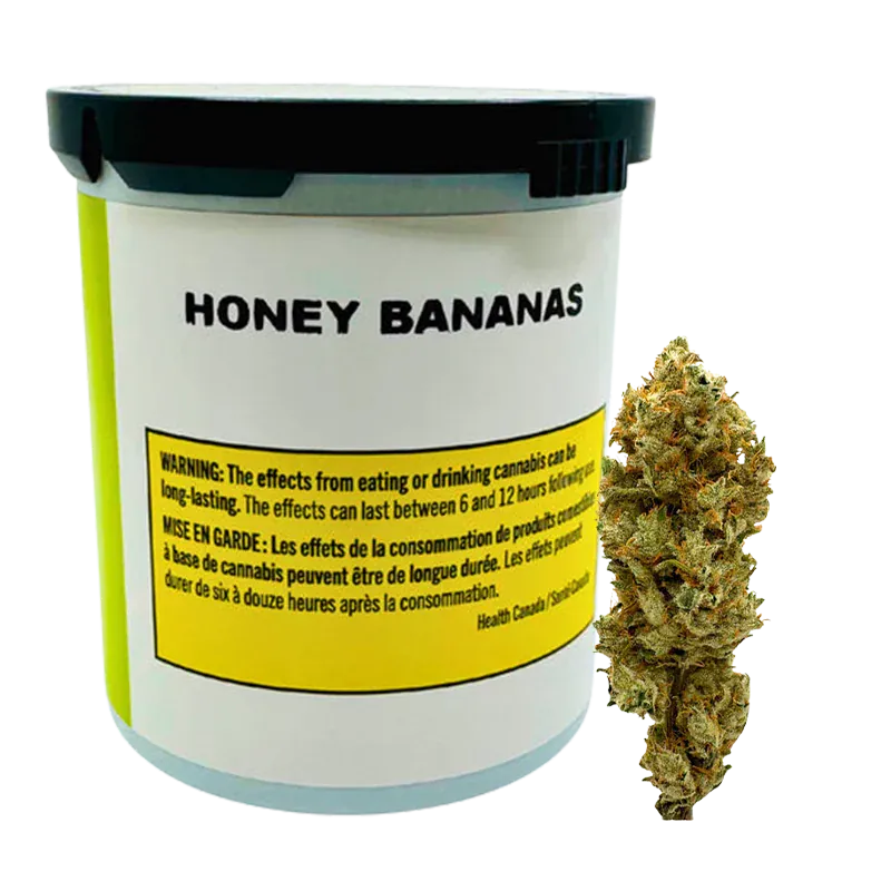 Front-angle view of a white container labeled Honey Bananas with a black lid and a cannabis bud positioned to its right.